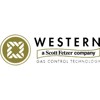 Western Enterprises Log
