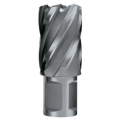 510-CC100L.jpg